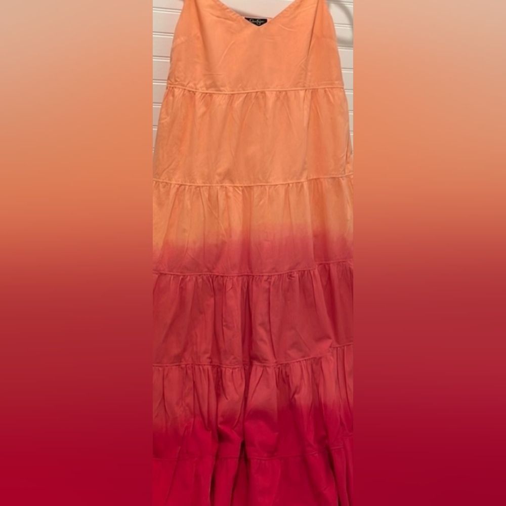 Jennifer Simpson Ombre Maxi Dress Size Large